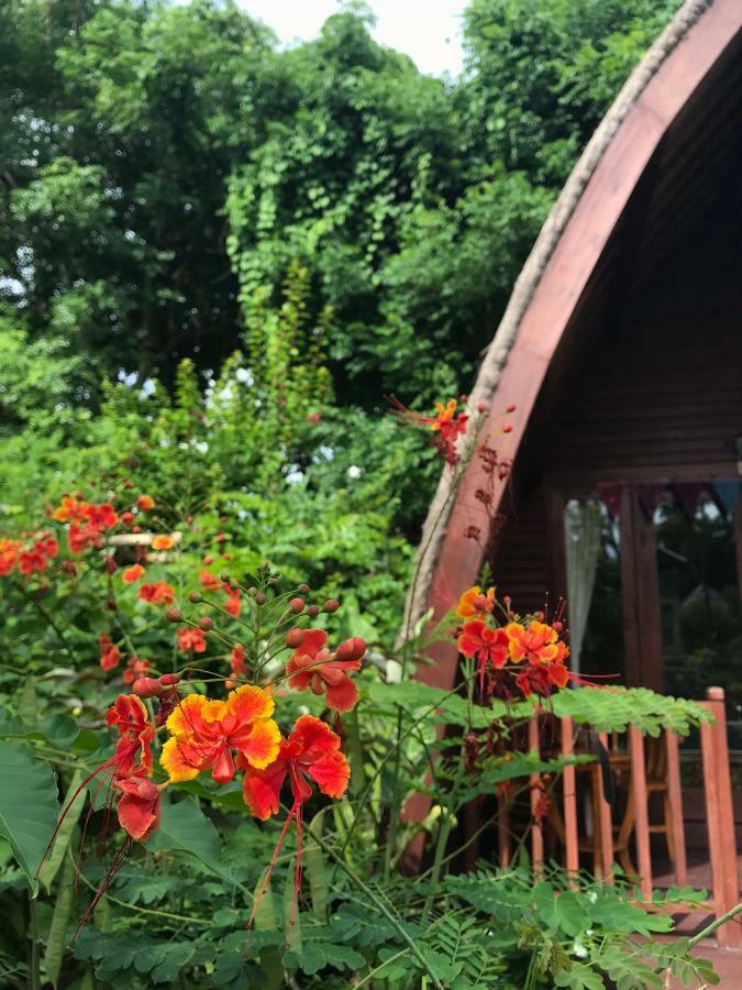 Meno Madia Bungalows กิลิเมโน ภายนอก รูปภาพ